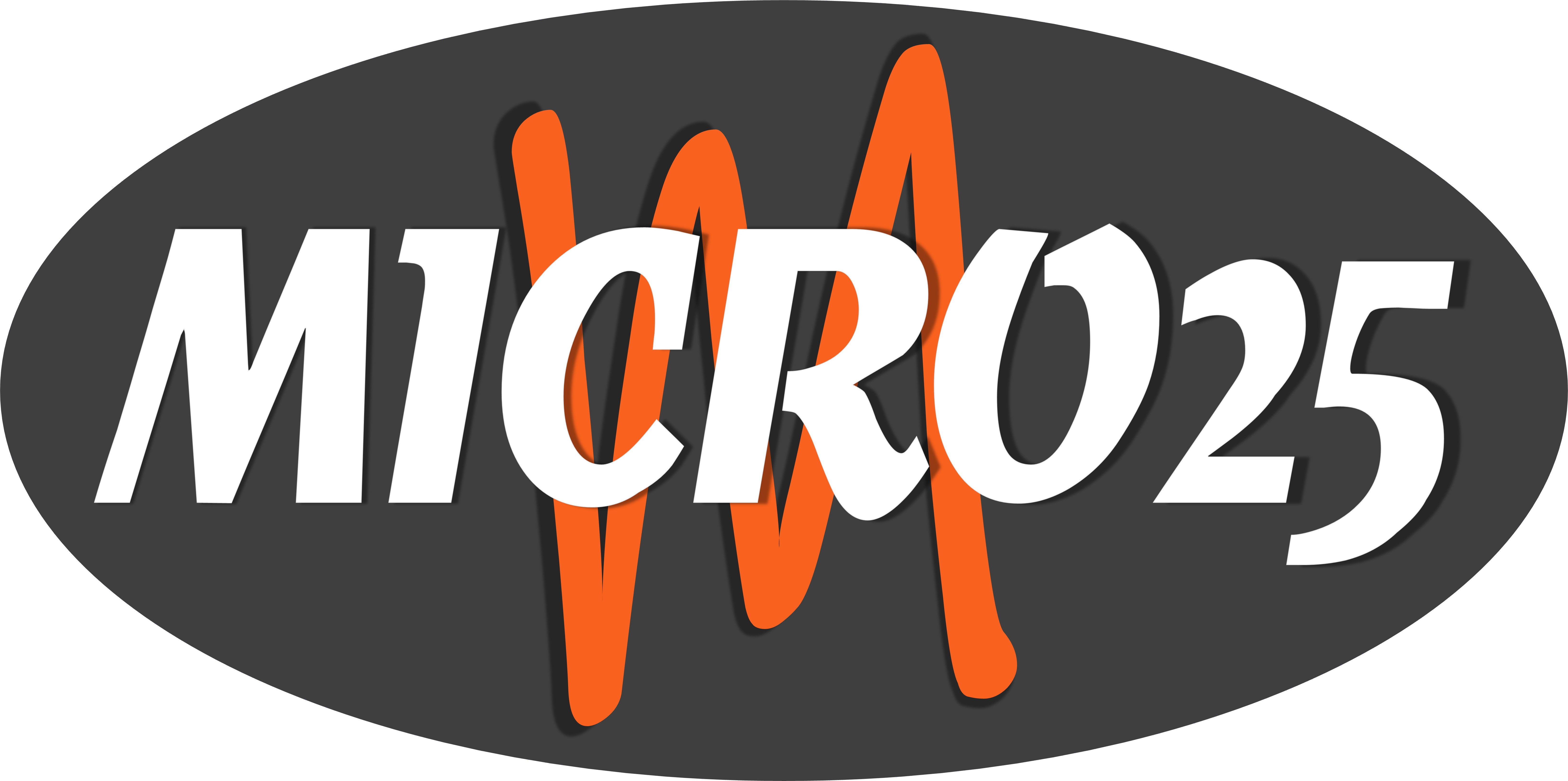 Logo Micro 25